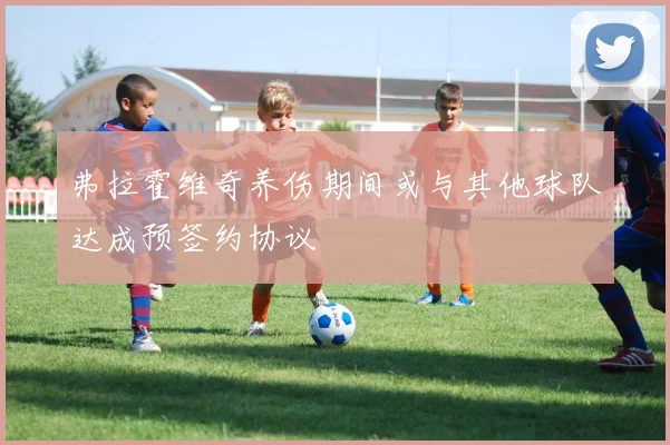 弗拉霍维奇养伤期间或与其他球队达成预签约协议