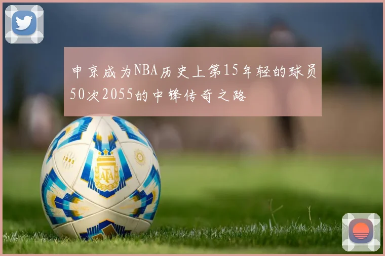 申京成为NBA历史上第15年轻的球员50次2055的中锋传奇之路