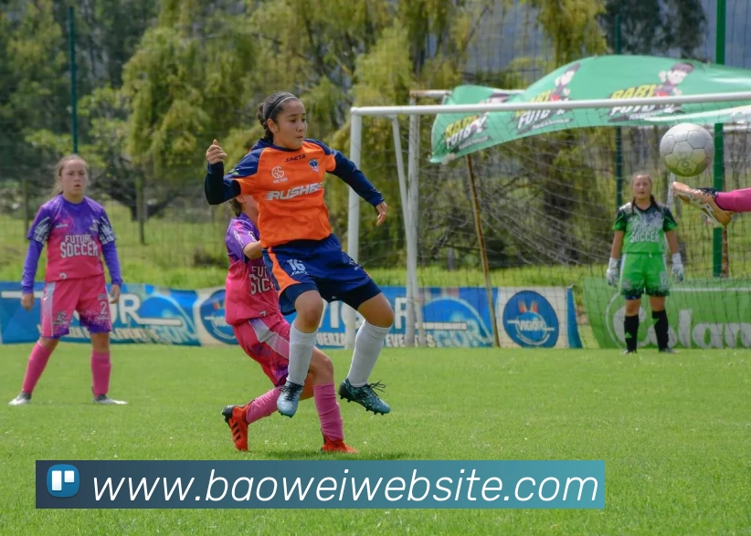 宝威体育服务体系